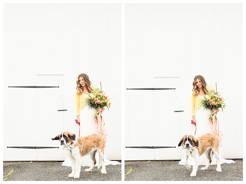 Sterlingbrook-Farm-Styled-Shoot-Pittstown-NJ_0082