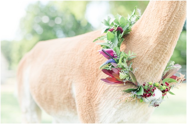 jewel toned floral wreath, alpaca wedding dressing