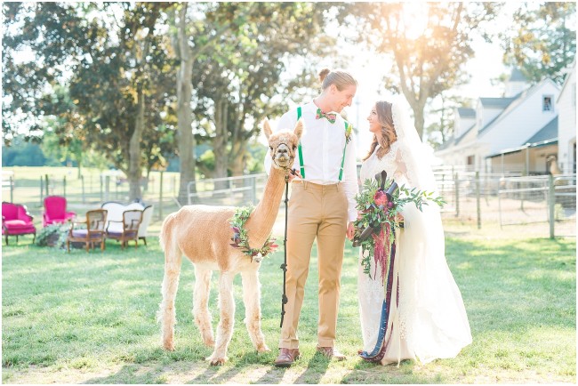 edel haus alpaca styled shoot, bride and groom posing with an alpaca