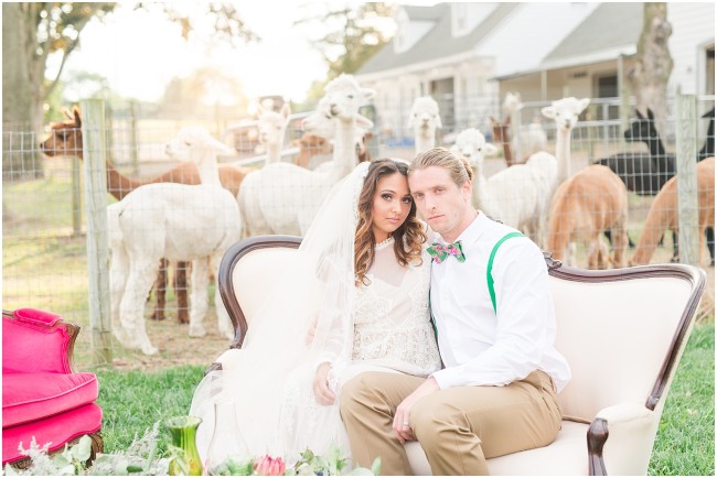 edel haus farm alpaca wedding
