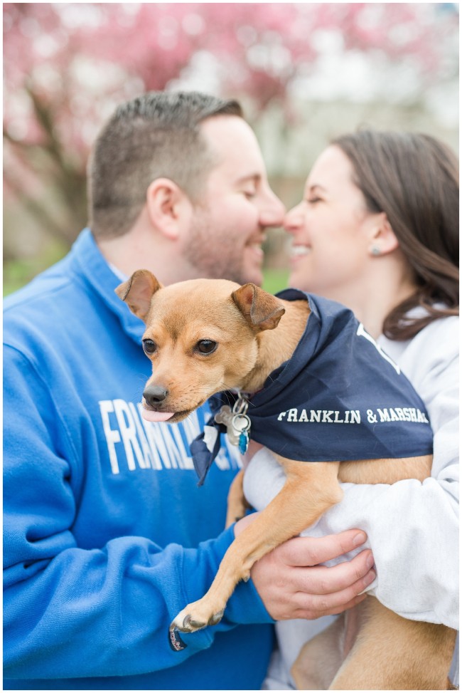 Couple with dog at college engagement session