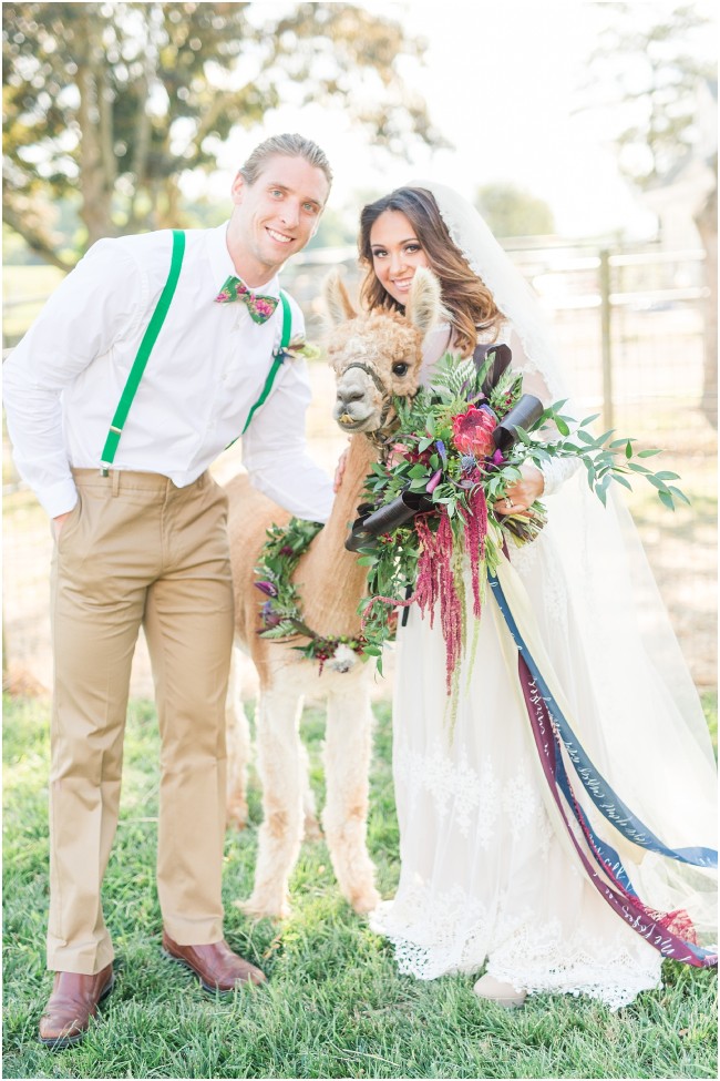 edel haus styled shoot photos, alpaca wedding photos, bride and groom with alpaca