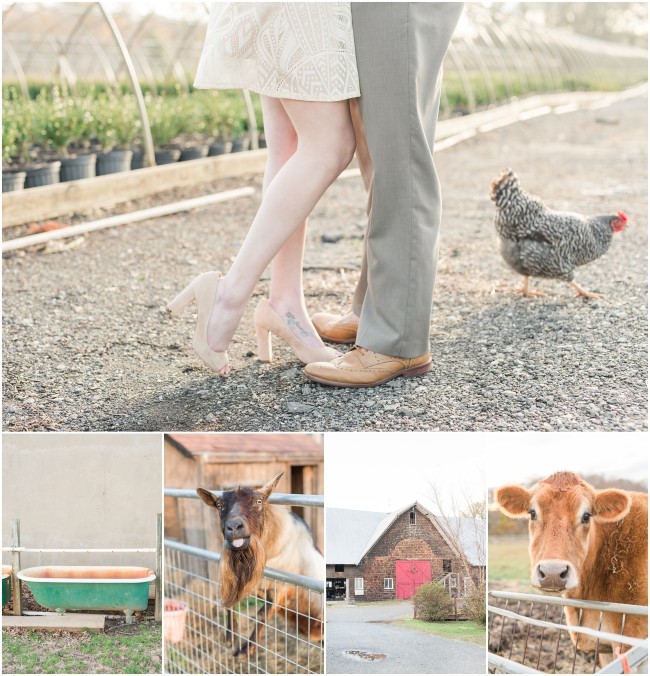 Farm engagement session at The Inn at Fernbrook Farms in Chesterfield NJ