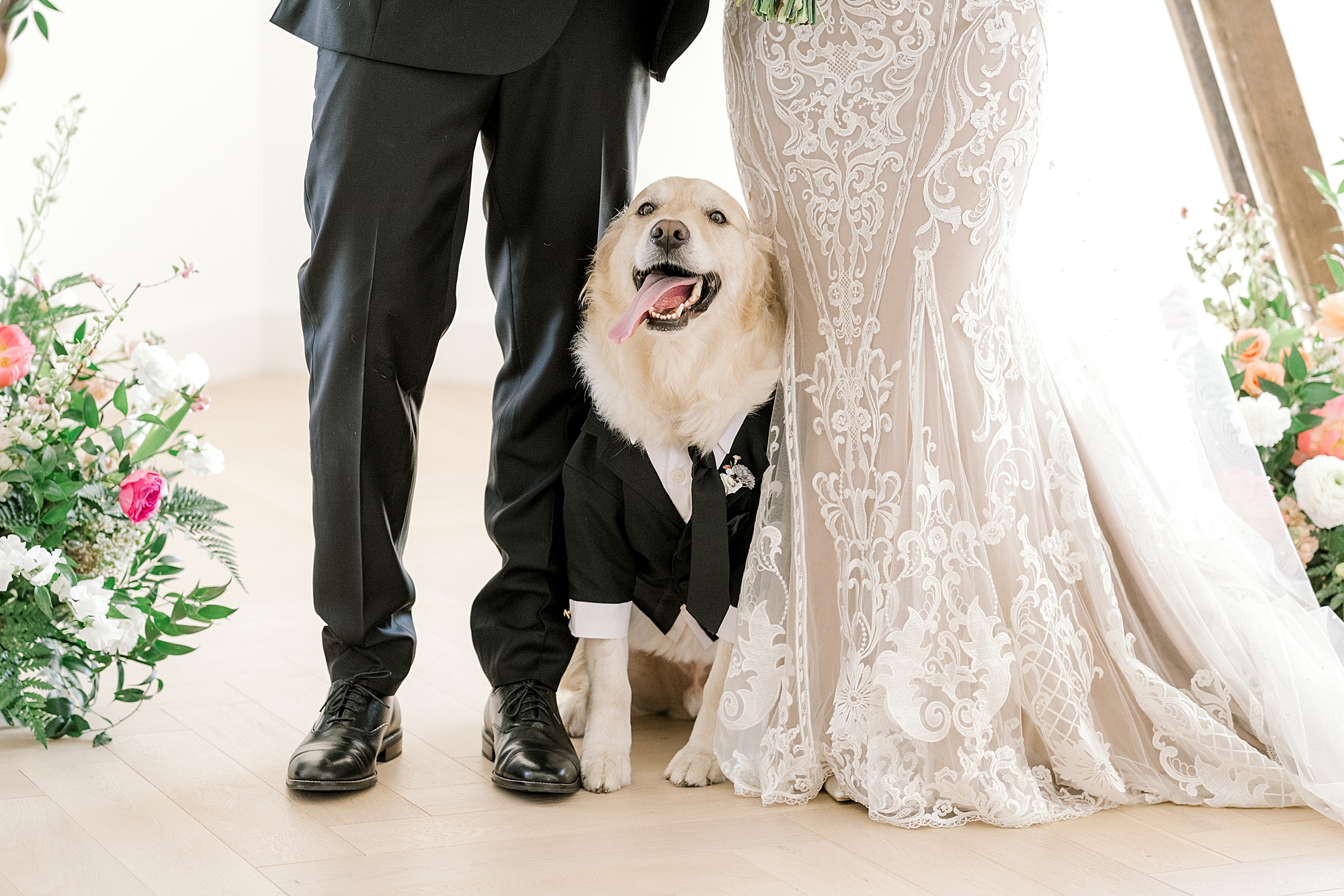 bride and groom stand with golden retriever between them in full suit