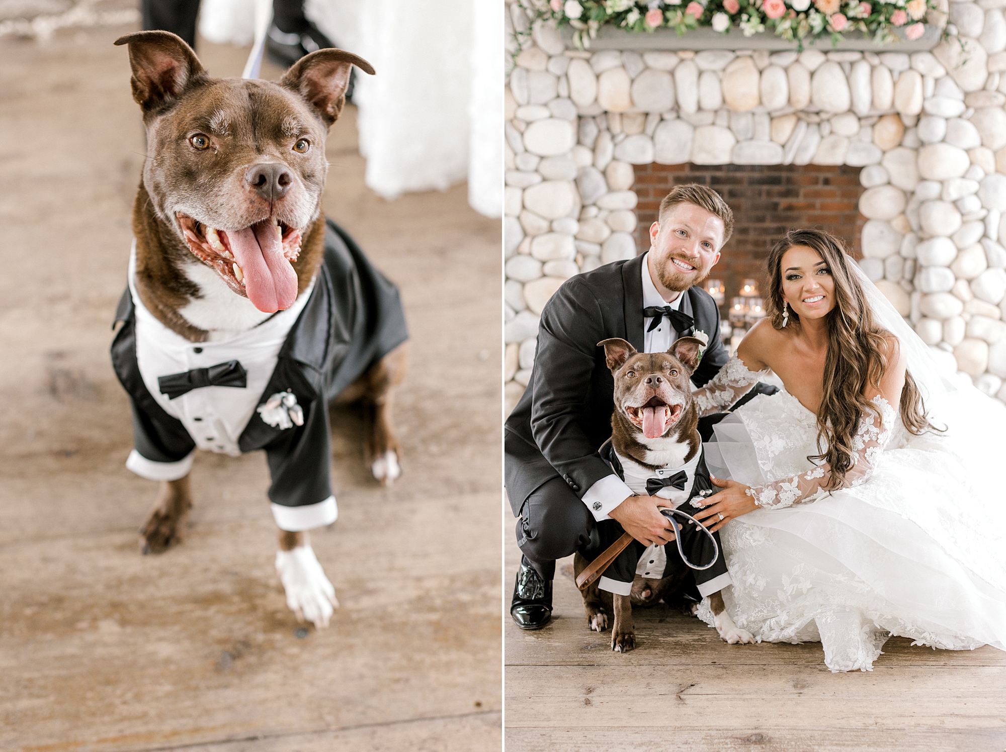 bride and groom kneel with brown dog in suit at Bonnet Island Estate