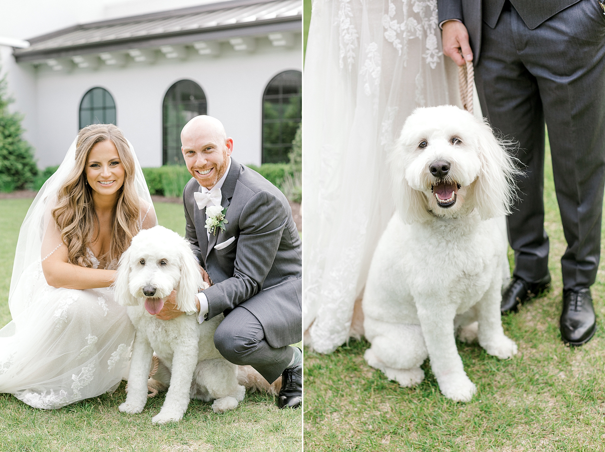newlyweds kneel with white dog on lawn