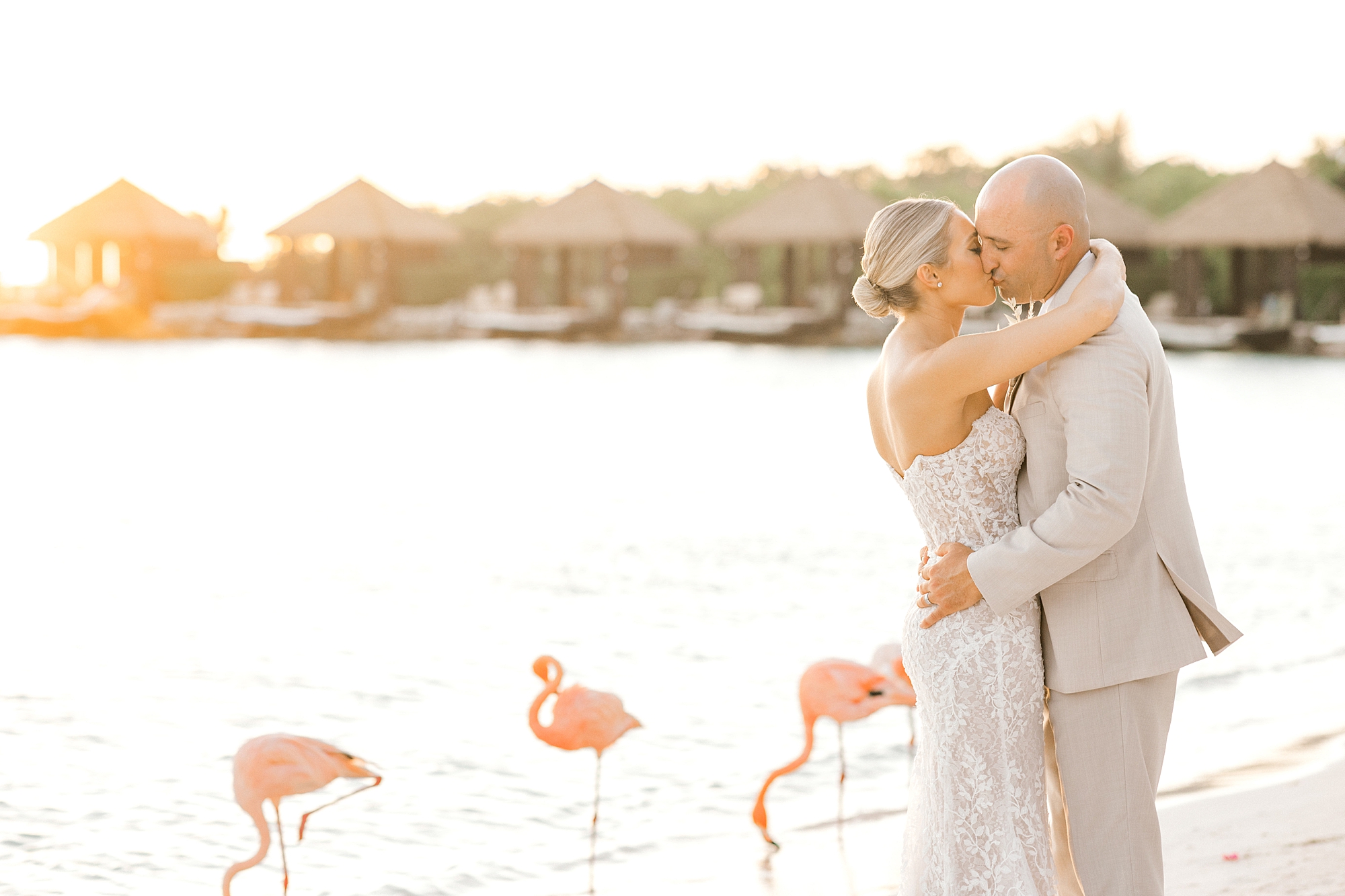 bride and groom hug on beach with flamingos around them on Flamingo Island