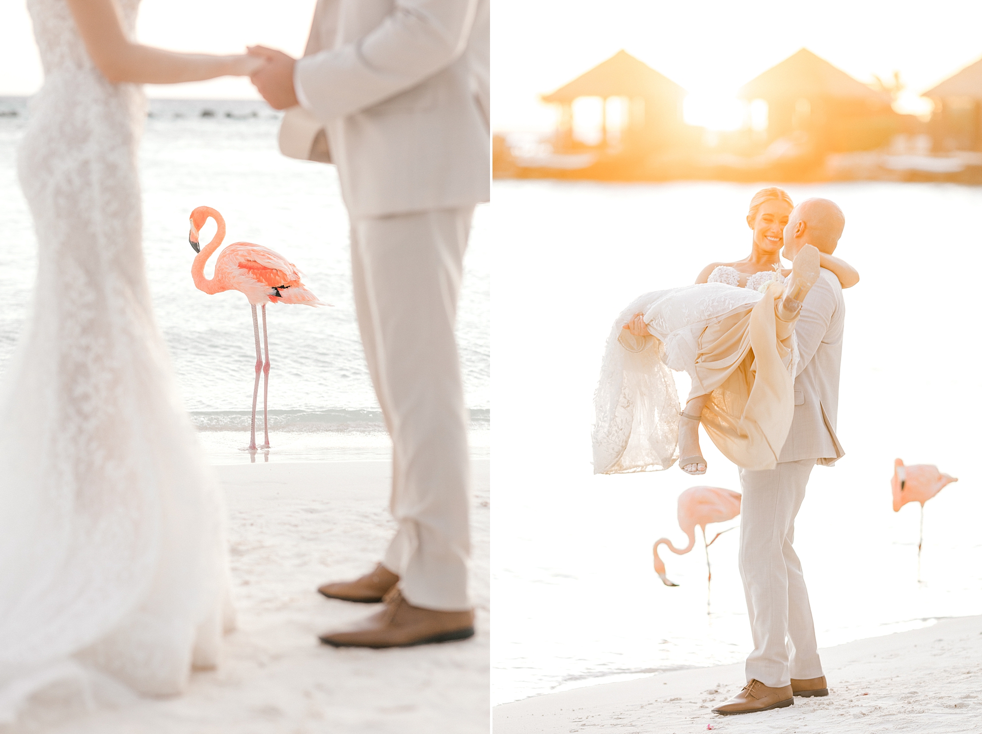 newlyweds hug and hold hands on Flamingo Island at sunset with flamingos around them