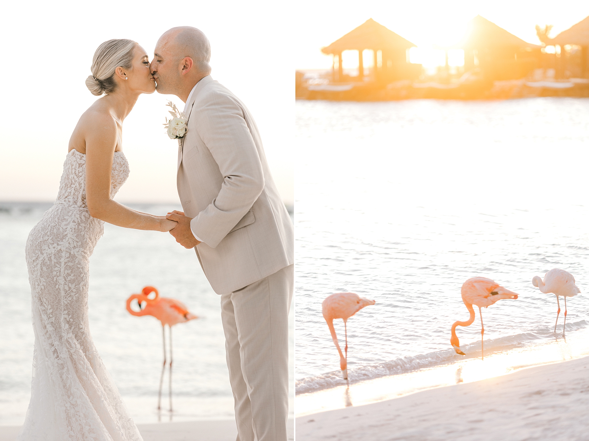 bride and groom kiss with flamingos around them on Flamingo Island