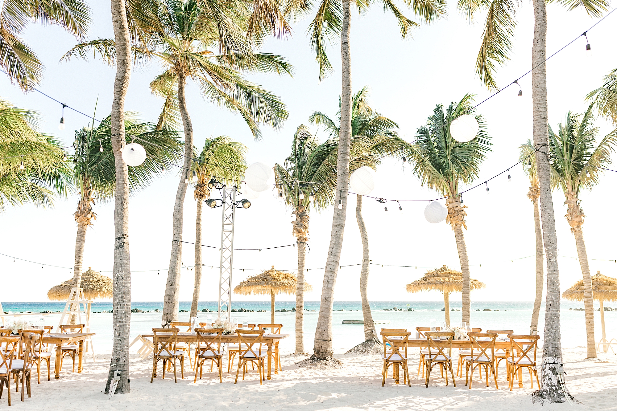 Flamingo Island wedding reception with palm trees and white lights