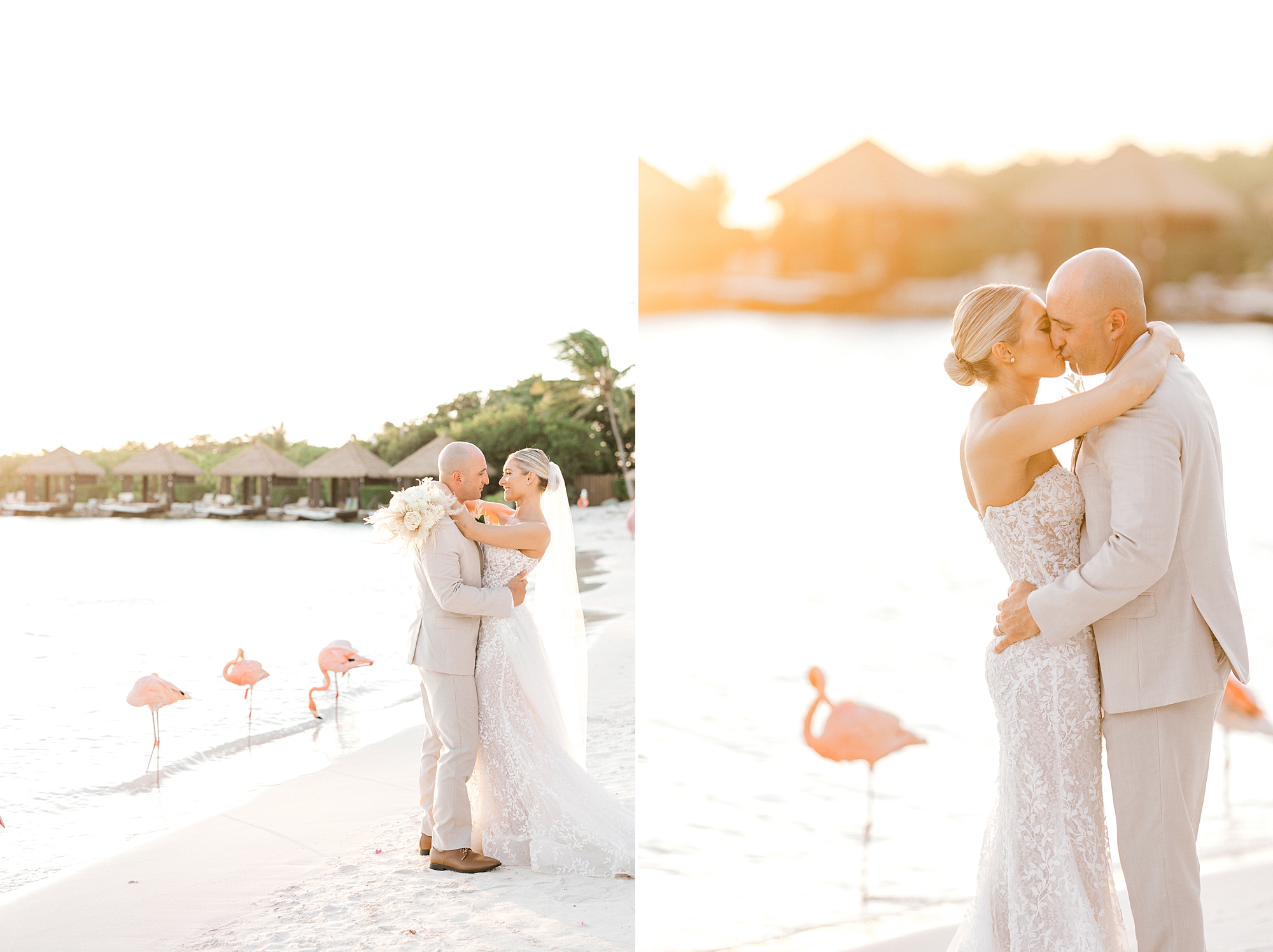 newlyweds hug at sunset on Flamingo Beach with pink flamingos walking around