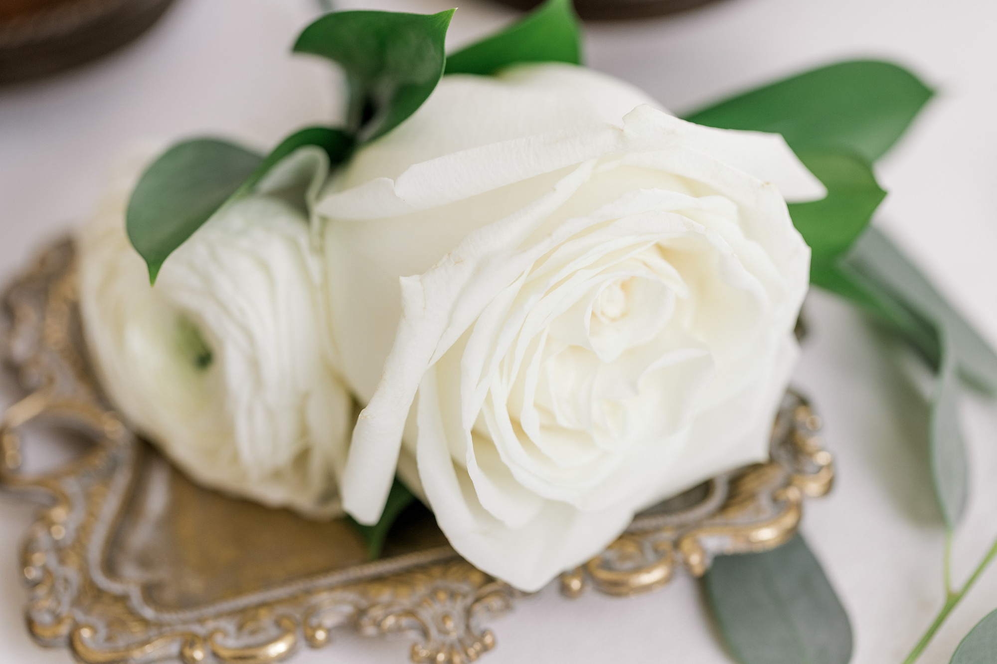 groom's ivory rose boutonnière for fall wedding at Ryland Inn