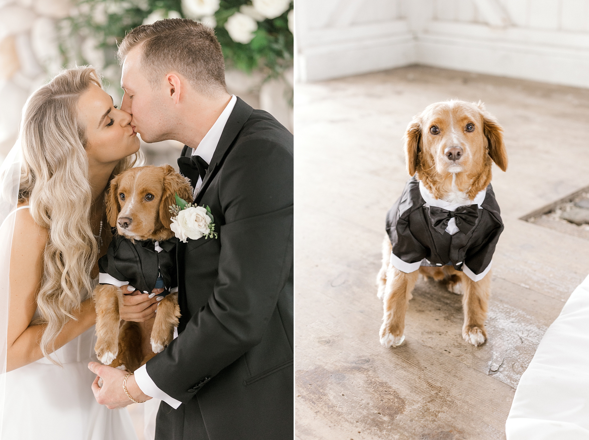 bride and groom kiss while holding dog in tuxedo