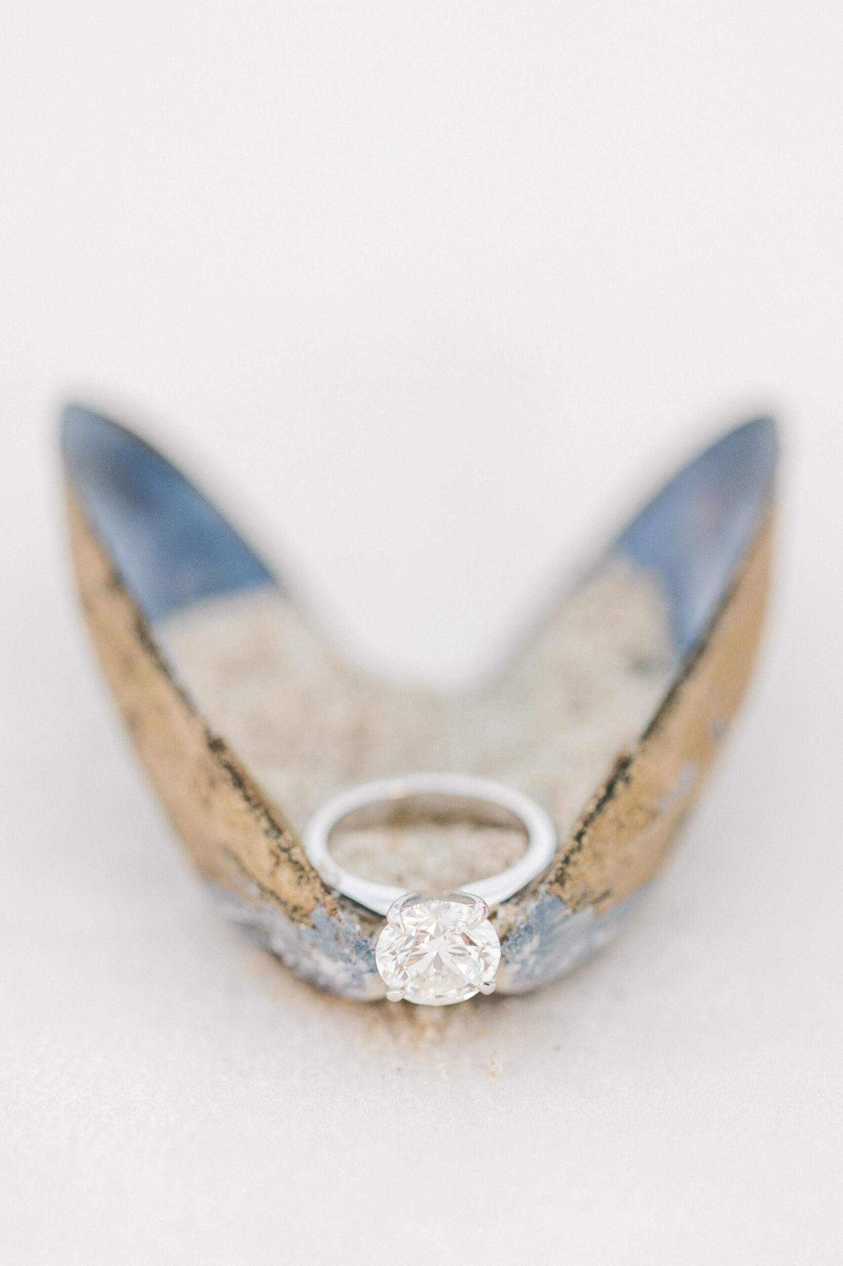 diamond ring lays on seashell during Long Beach Island